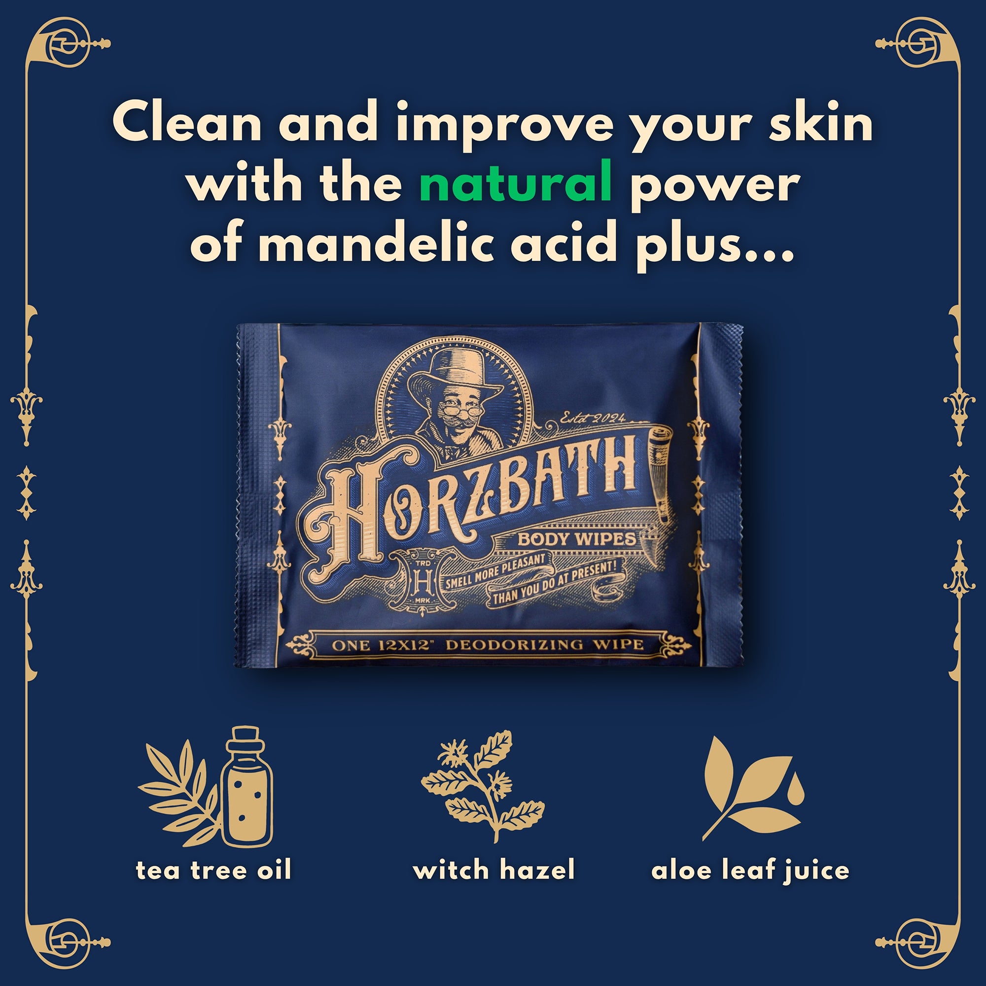 10-Pack of Horzbath Body Wipes